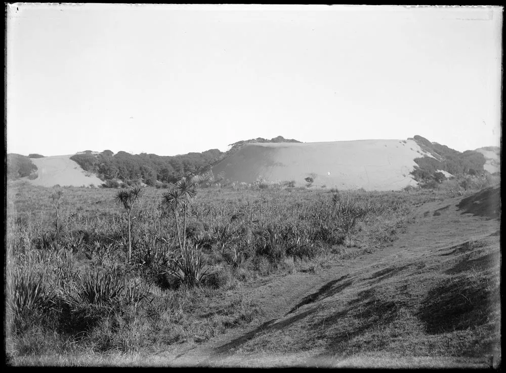 Sandfalls of advancing dunes of Horowhenua dune-belt near Wirokino Bridge over the Manawatu River on Levin-Foxton highway