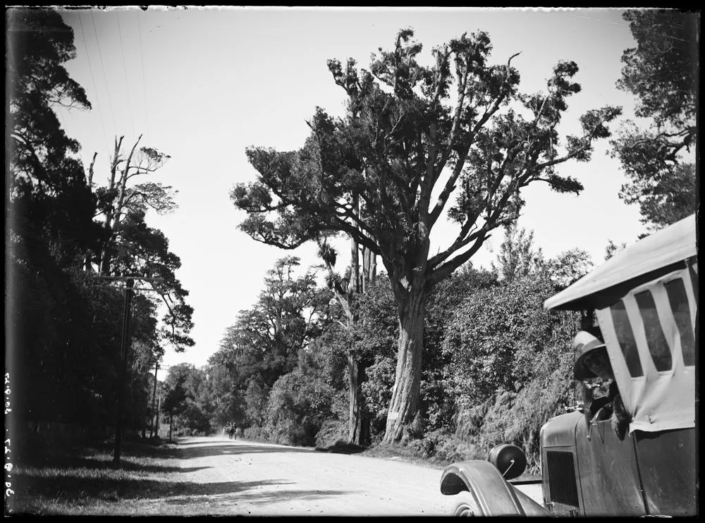 View down road from beside a car