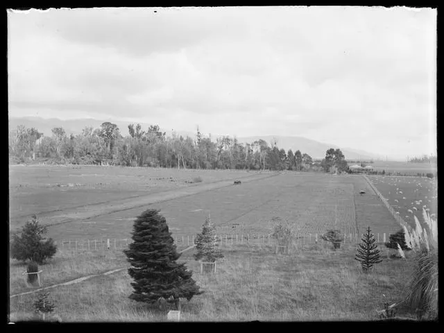 Ploughing Stewart paddock