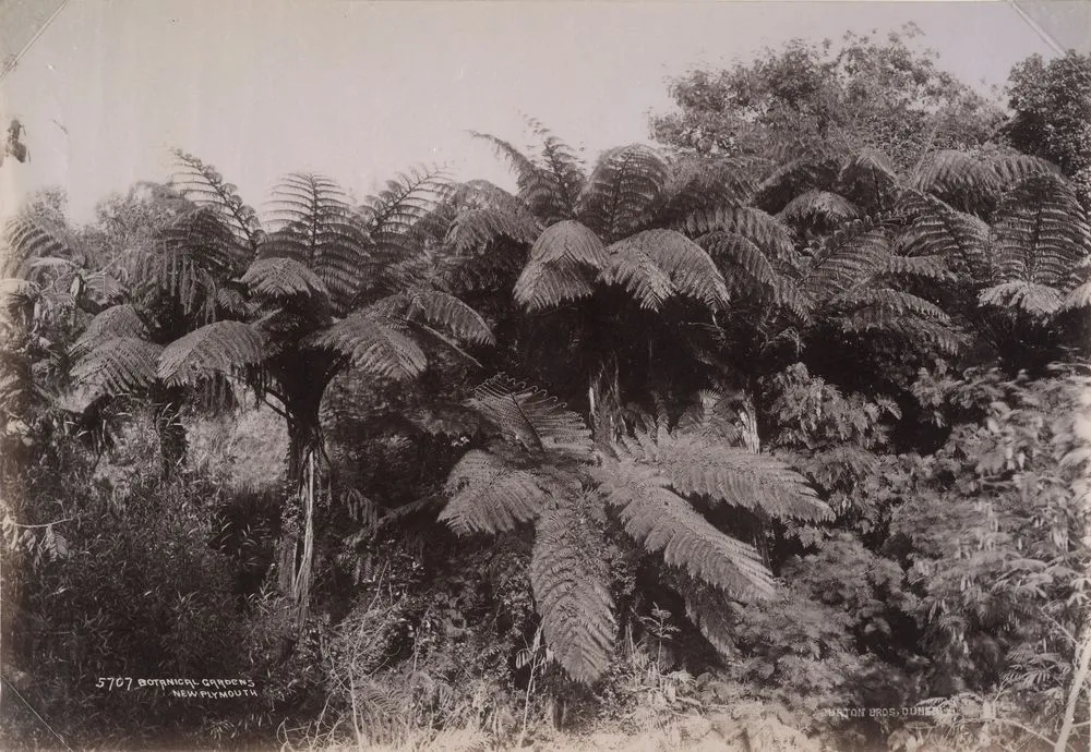 Botanical Gardens, New Plymouth