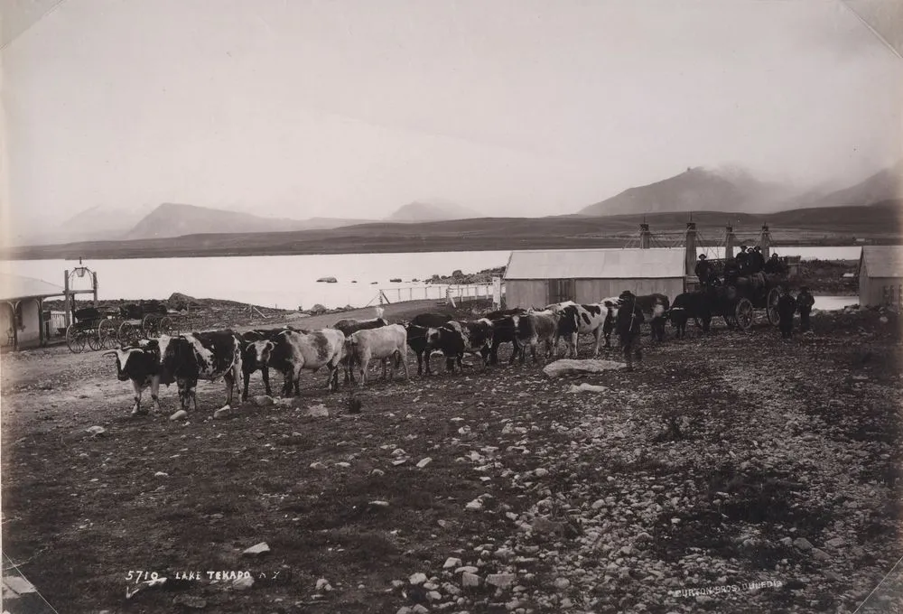 Lake Tekapo