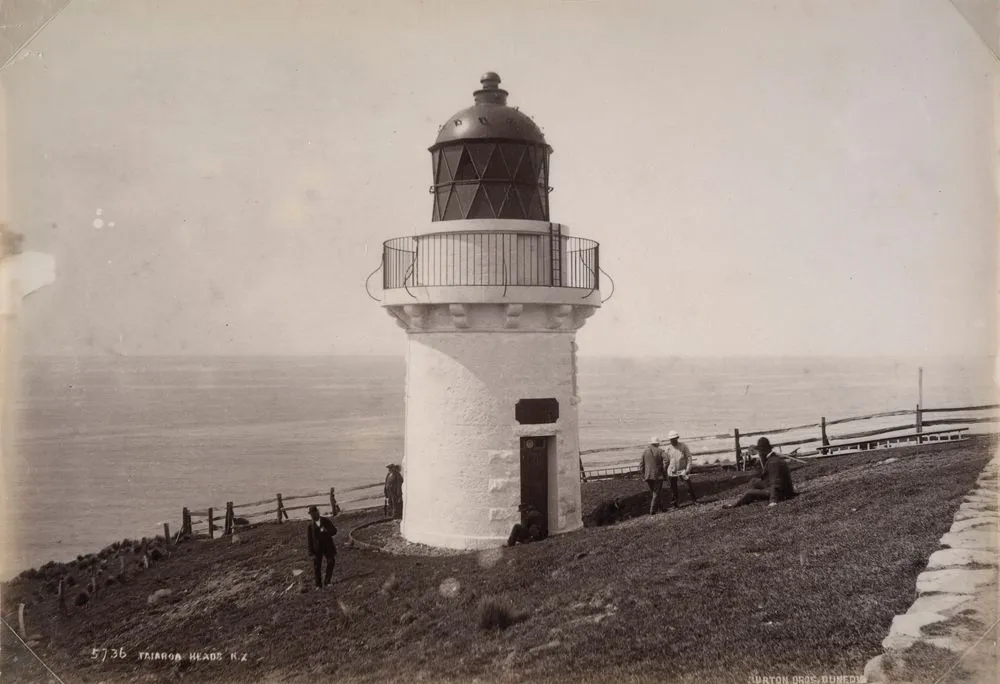 Taiaroa Heads, New Zealand