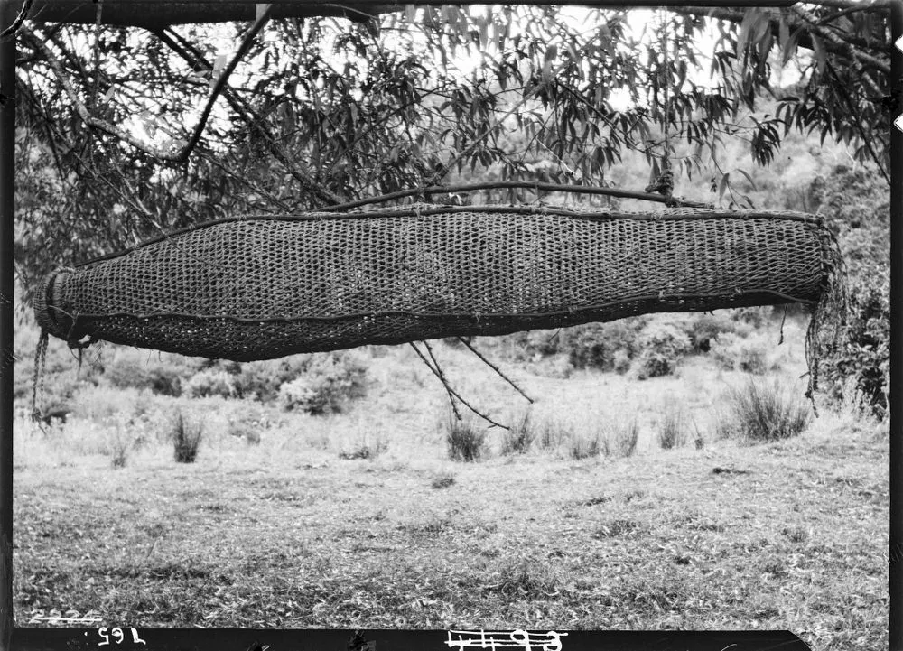 Hīnaki or Eel Basket