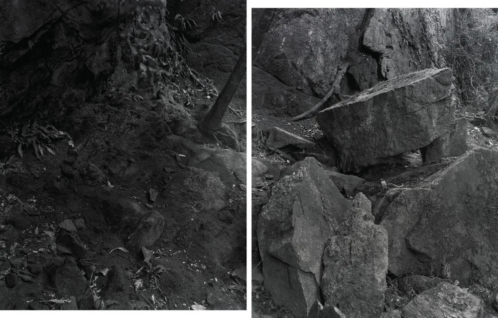 Cascade Cove, Tauwhare, rock shelter and excavated midden, 24 May 1995. From the series: Cook's Sites