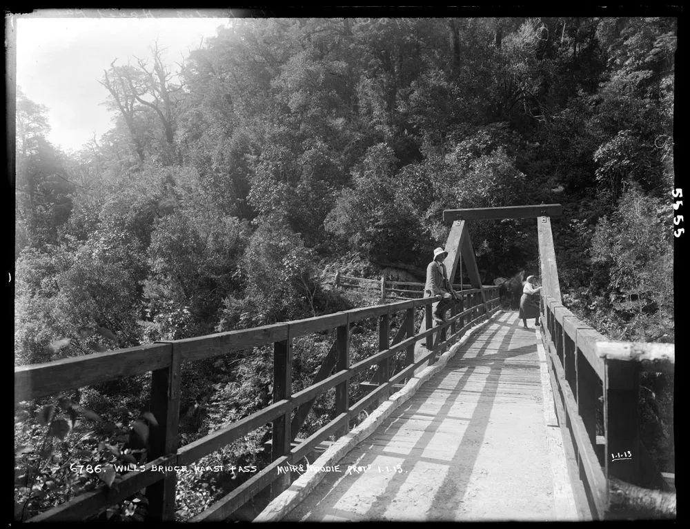Will's Bridge, Haast Pass