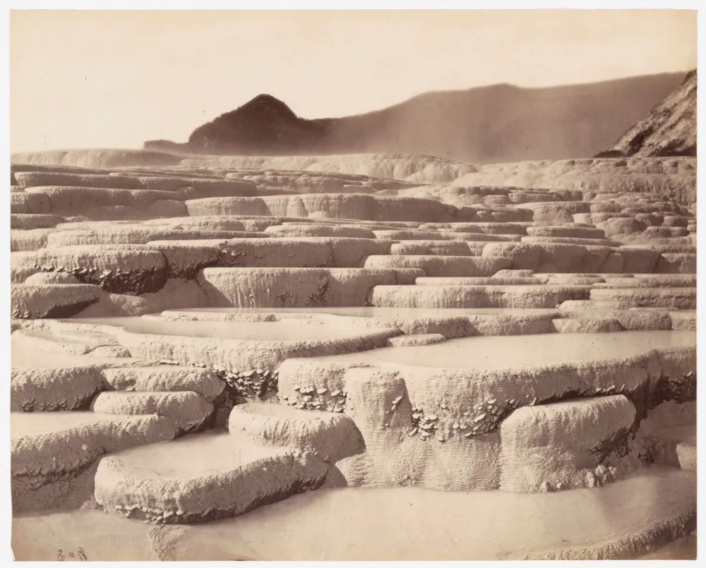 Pink and White Terraces