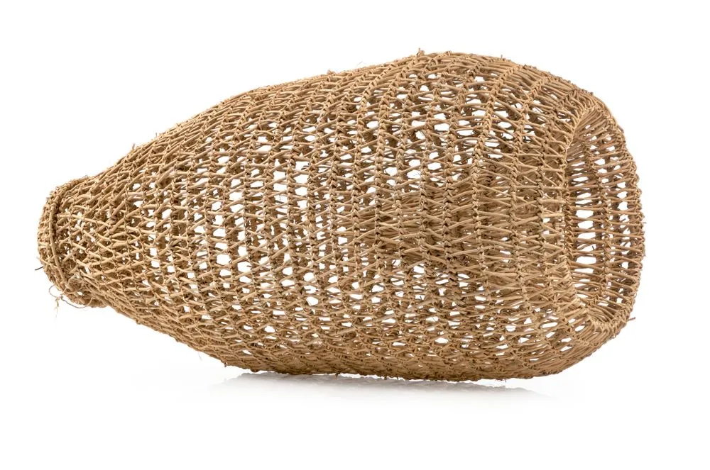 Hīnaki (eel trap)