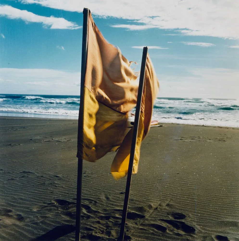 Two flags, Bethell's Beach