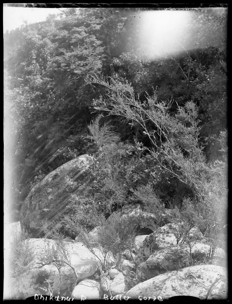 Ohikanui River, Buller Gorge