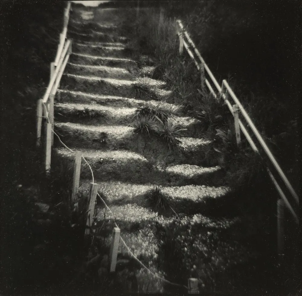 Flight of steps