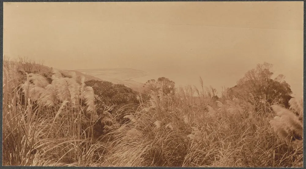 Glimpse of the big flat at north-east end of Kapiti and of the surf-line of the Mainland from Kapiti trig