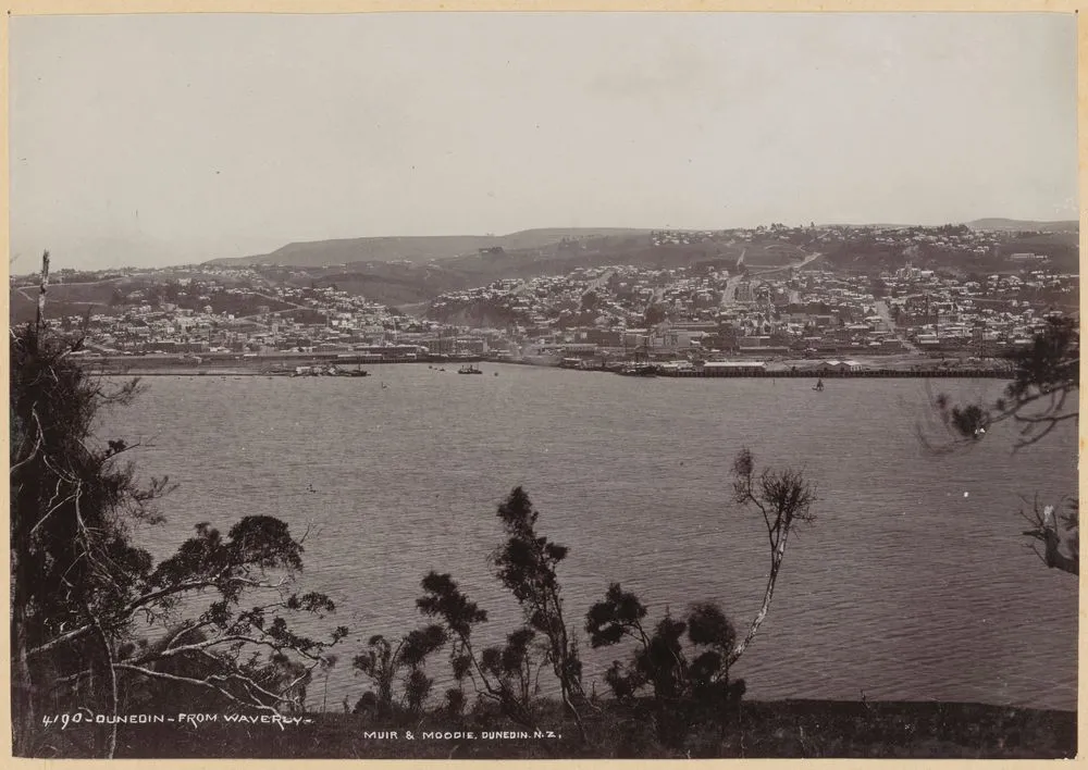 Dunedin from Waverly [Waverley]