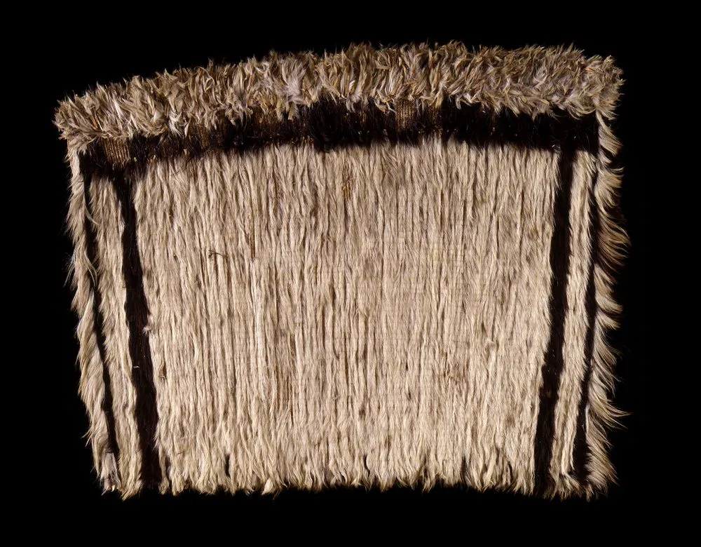 Kahu kurī (dog skin cloak)