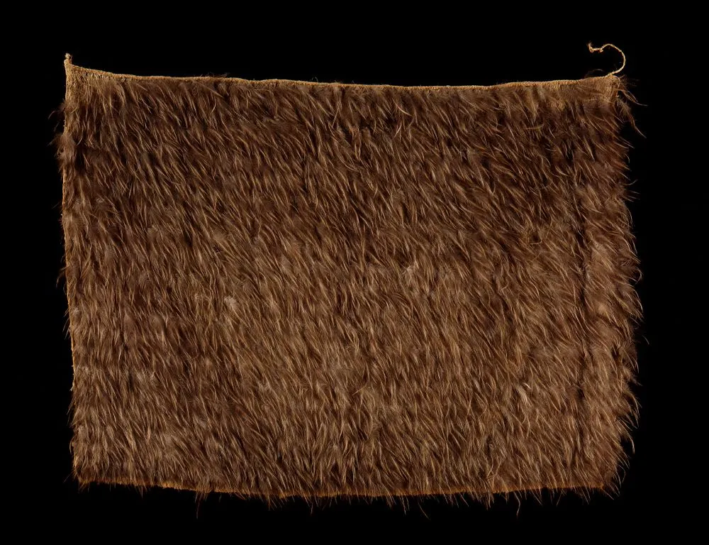 Kahu kiwi (kiwi feather cloak)