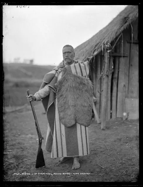 Paetae - at Pitoritori - Puniu River - King Country