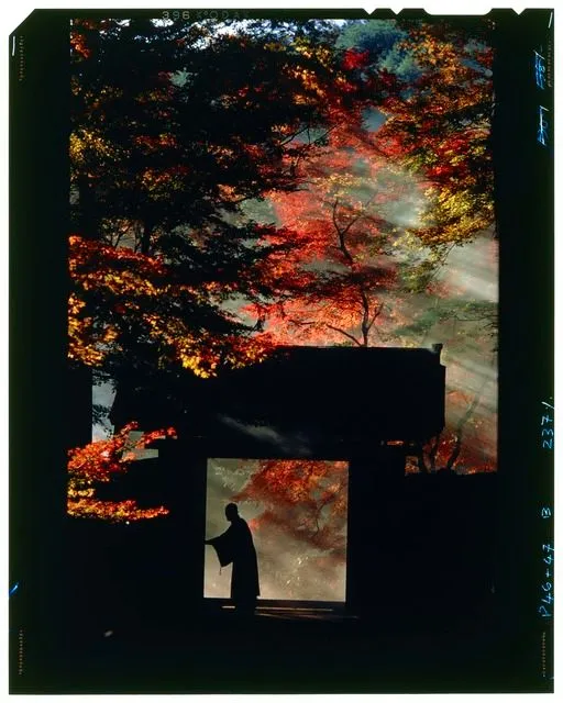 Sanzen-in Temple near Kyoto. Taken for a series on Japan for ‘Life’