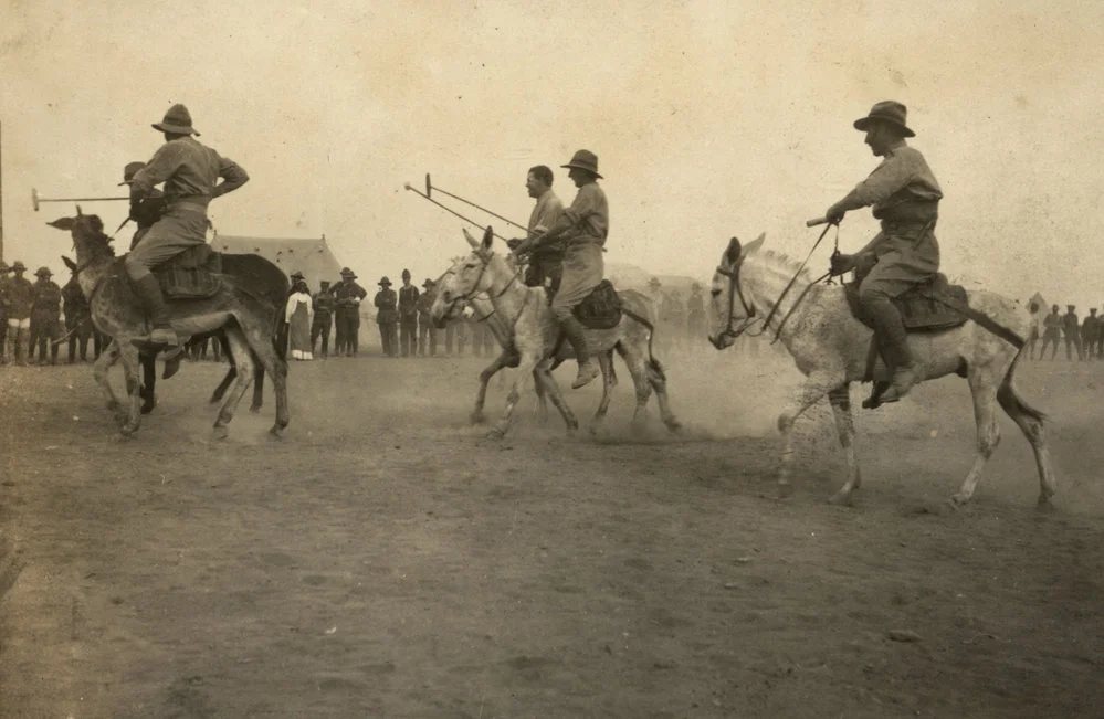 Nurses and Medical Services in Egypt and Gallipoli