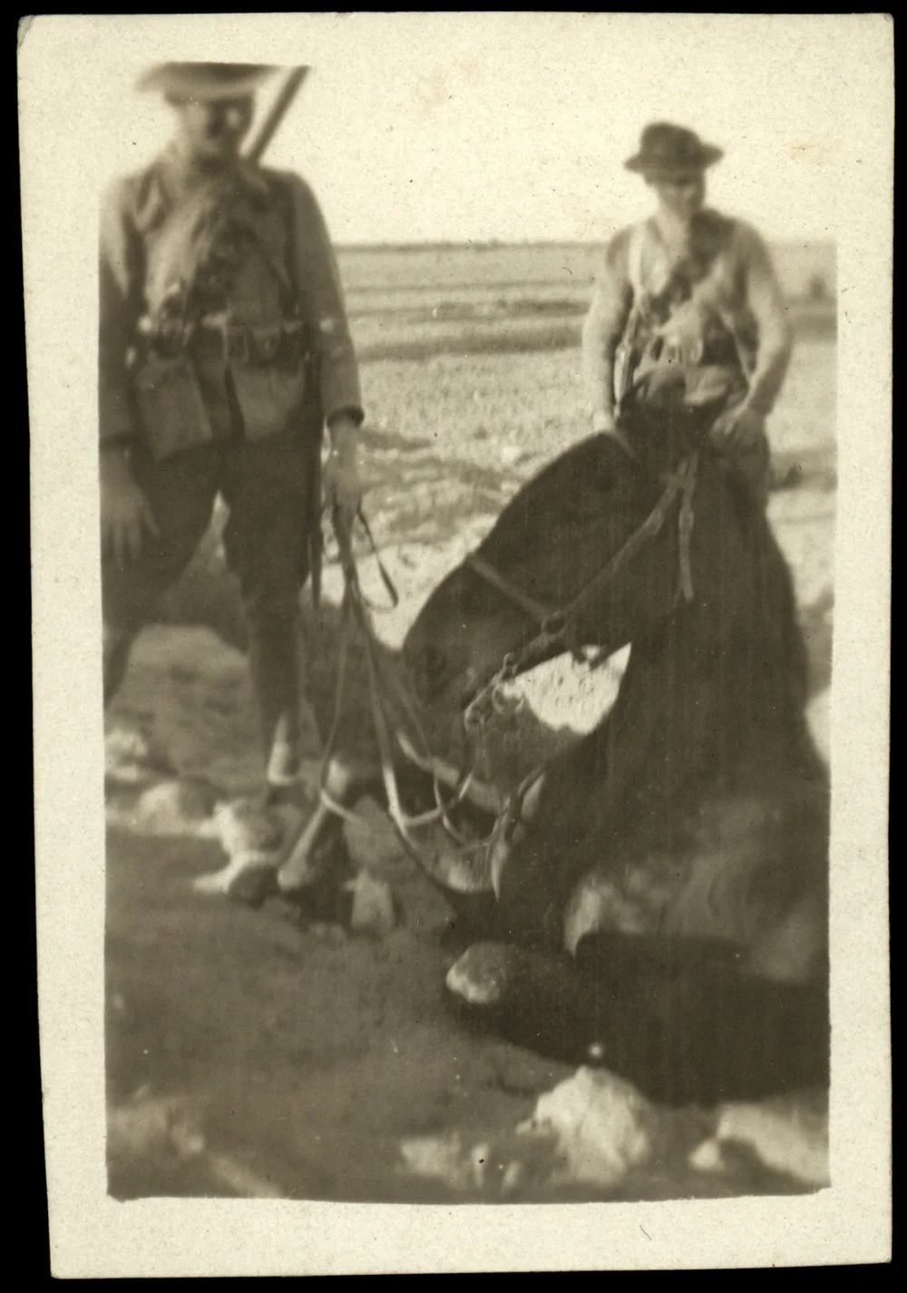 WWI Photograph Album- Gallipoli. [loose photo]