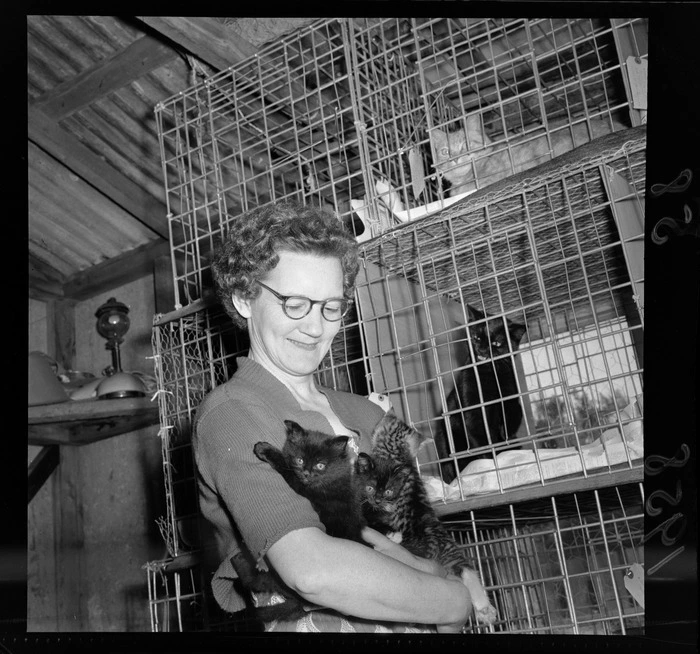 Mrs Hogg and caged cats