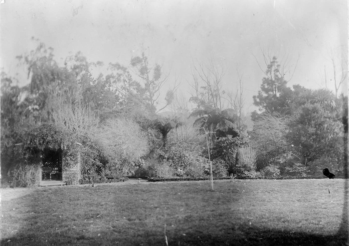 Thomas Mason's garden, Taita