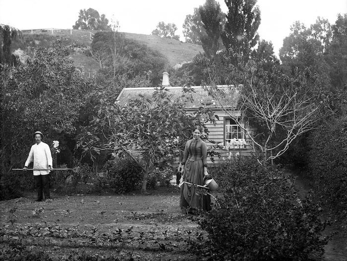 William Williams and Lydia Myrtle Williams in their vegetable garden, Carlyle Street, Napier