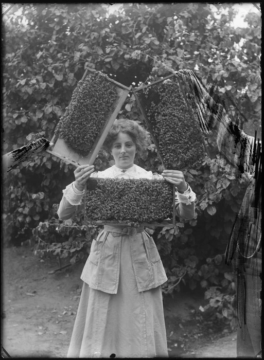 Outdoors on rough ground with trees behind, an unidentified woman holding three honeycombs covered in bees, probably Christchurch region