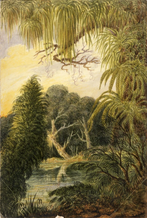 Gold, Charles Emilius 1809-1871 :[Bush and river scene, New Zealand, ca 1850]
