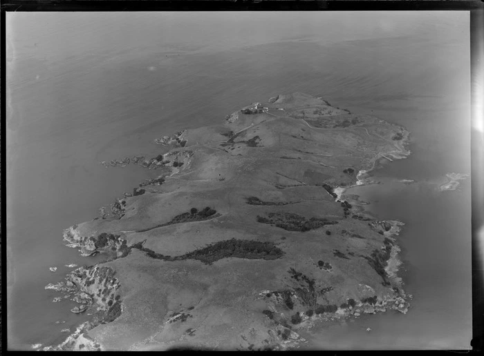 Tiritiri Matangi Island, Auckland