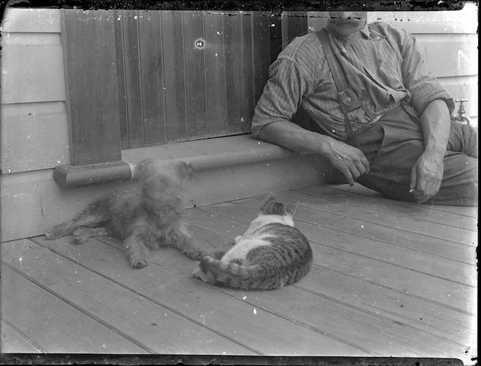 Man on verandah with dog and cat - taken by an unknown photographer