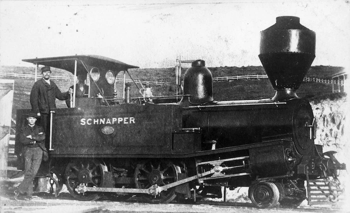 Steam locomotive Schnapper, D class