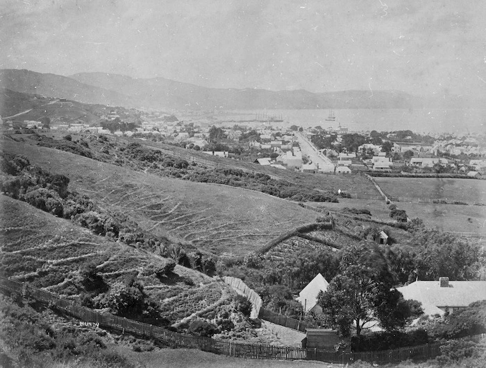 Mundy, Daniel Louis, 1826-1881: Looking over paddocks in Brooklyn, towards Cuba Street, Wellington