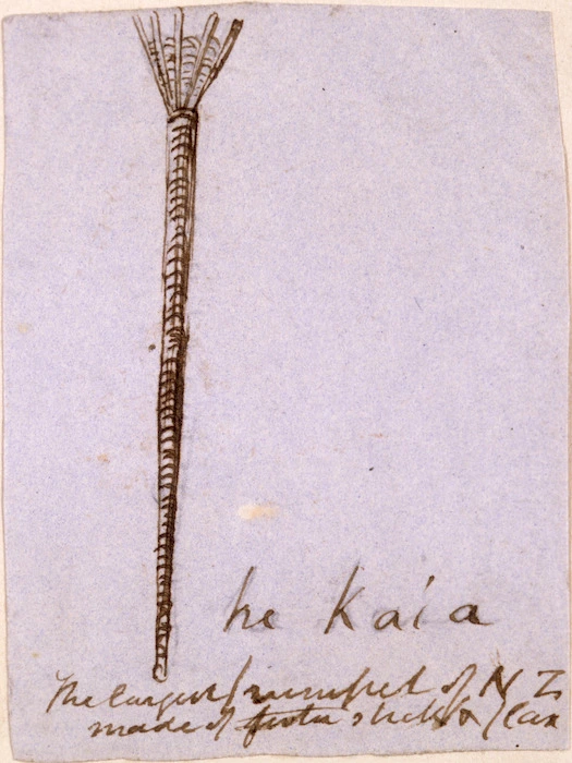 [Taylor, Richard], 1805-1873 :He kaia. The largest trumpet of New Zealand made of tutu stick and flax. [1840s or 1850s]