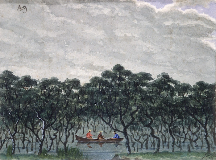 Backhouse, John Philemon, 1845-1908 :[Mangrove swamp at high tide with three men in a boat. ca. 1880]