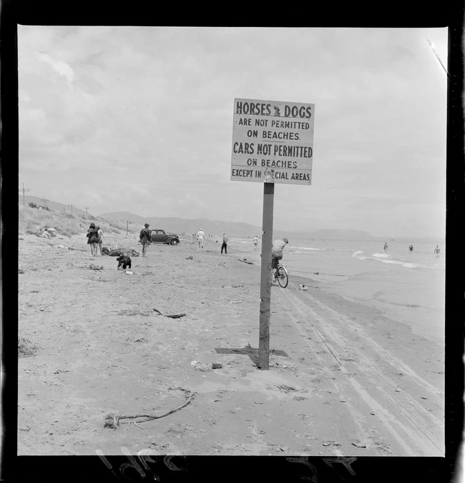 Notice on Paraparaumu Beach prohibiting horses and dogs and allowing cars only in special areas, Kapiti Coast, Wellington Region