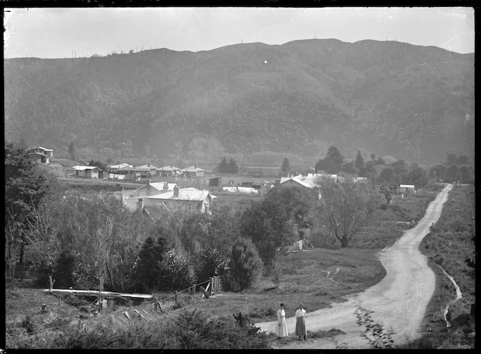 View of Whiteman's Valley Road, 1921.