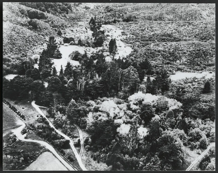 Brookfield scout camp, Moores Valley Road, Wainuiomata