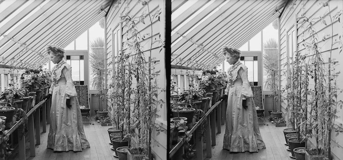 Lydia Williams in the conservatory of her house in Royal Terrace, Kew, Dunedin