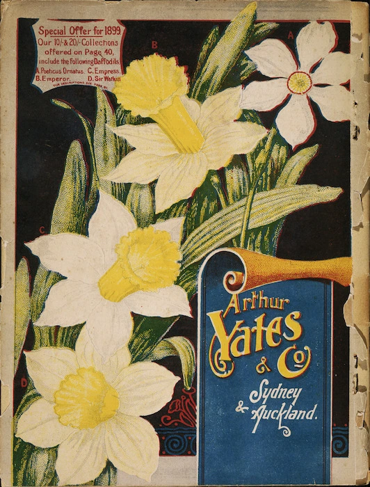 Arthur Yates & Co. Ltd, Auckland :[Daffodils]. Yates' nursery catalogue. 1899. Back cover].