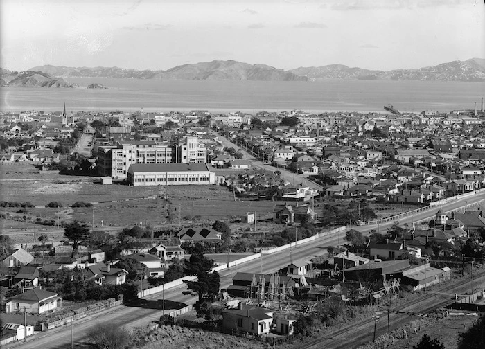 View of Petone and Wellington Harbour