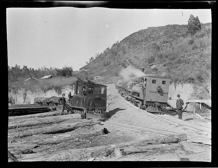 William Williams and unidentified workmen with stream trains bringing logs to the Kakahi Sawmill, Kakahi Settlement, Manawatu-Whanganui Region