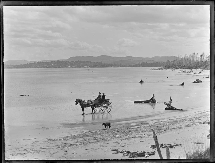 Lydia and William Williams in a horse drawn cart on a beach, Catlins area, Otago District