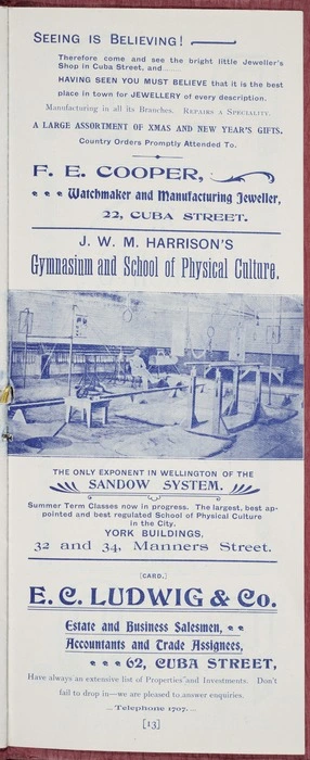 F E Cooper, watchmaker and manufacturing jeweller; ...J W M Harrison's Gymnasium and School of Physical Culture; the only exponent in Wellington of the Sandow system ... York Buildings, 32 and 34 Manners Street ... E C Ludwig & Co, estate and business salesman [1902]
