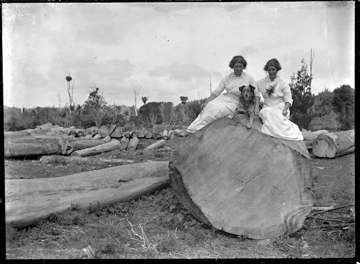 Two unidentified women and a dog seated on a large kauri log.