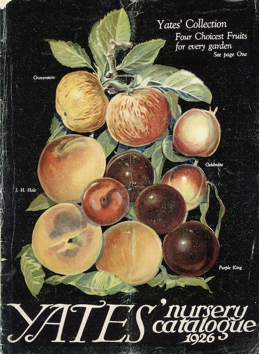 Arthur Yates & Co. Ltd, Auckland :Yates' nursery catalogue. [Cover. Apples]. 1926.