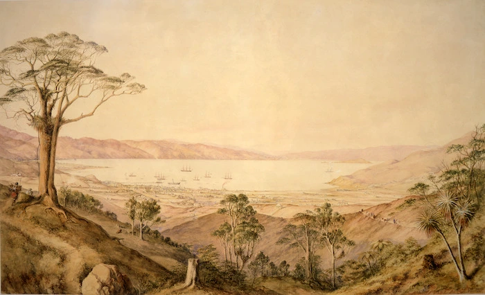 [Barraud, Charles Decimus] 1822-1897 :[View of Wellington] N.Z., 1861