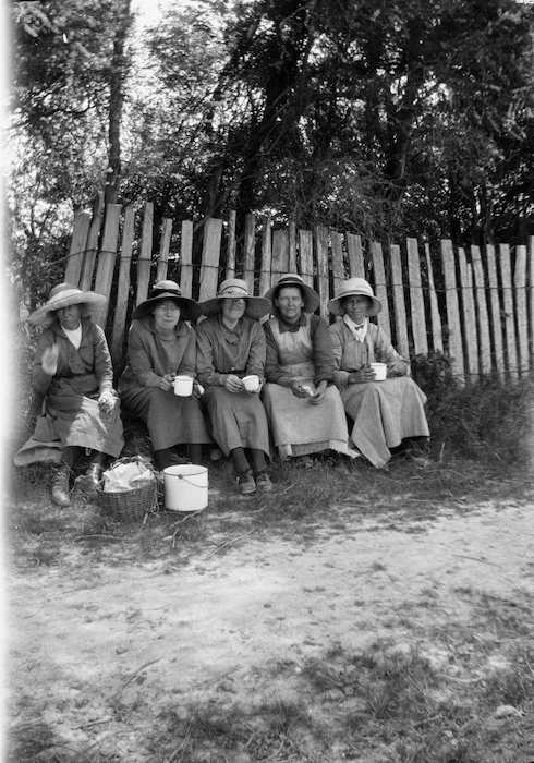 Women strawberry pickers, Lower Motueka
