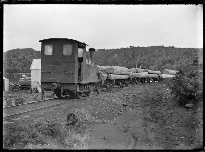 Kauri Timber Company's timber train at Waipapa, laden with logs.