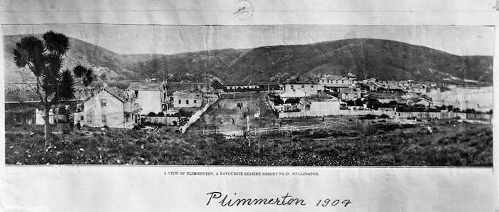Plimmerton township