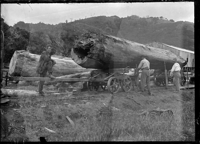 Men unloading huge logs off a railway wagon, on the railway track outside Piha timber mill.