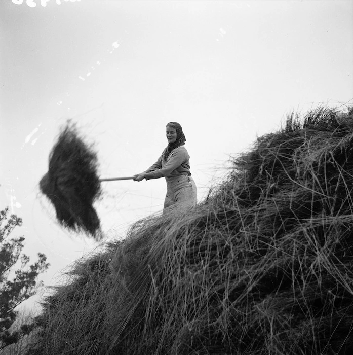 Woman stacking linen flax in Geraldine